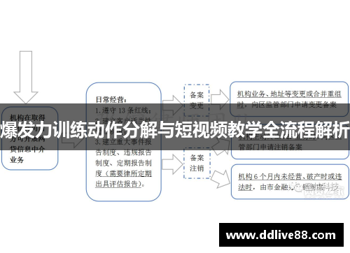 爆发力训练动作分解与短视频教学全流程解析